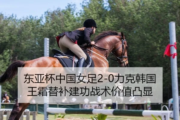 dong-ya-bei-zhong-guo-nv-zu-li-ke-han-guo-wang-shuang-ti-bu-jian-gong-zhan-shu-jia-zhi-tu-xian-2-378.jpg
